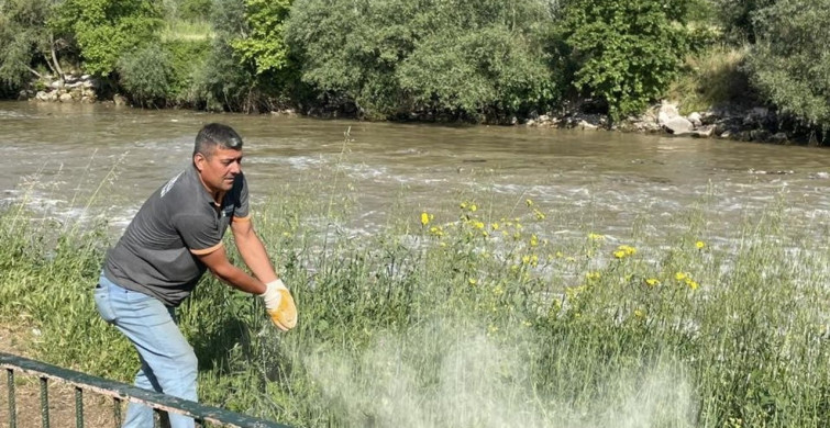 Osmaneli Mesire Alanında Haşere ve Yılanlarla Mücadele