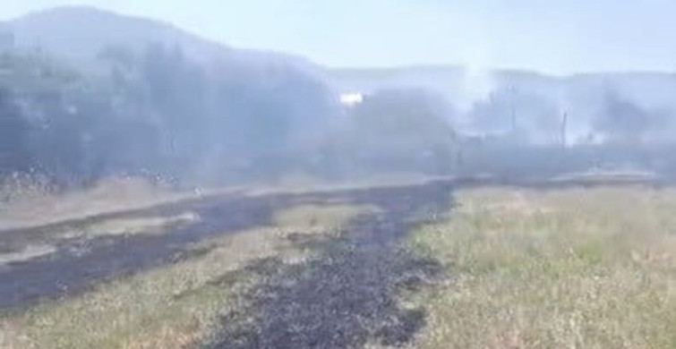 Osmaniye’de anız yangını meyve bahçelerine sıçradı: 1 kişi hastanelik oldu