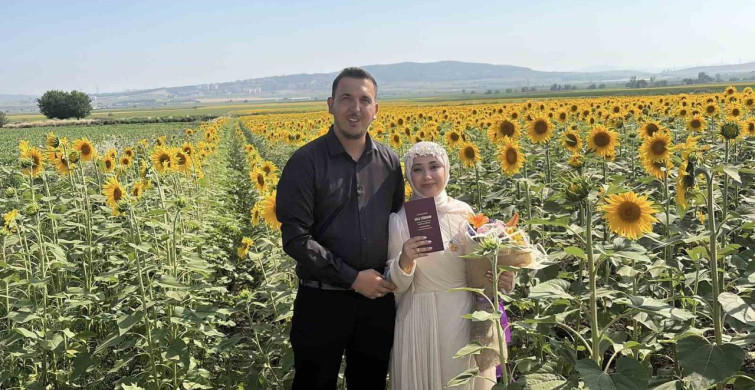 Osmaniye'de ayçiçeği tarlaları yeni evli çiftlerin gözdesi oldu