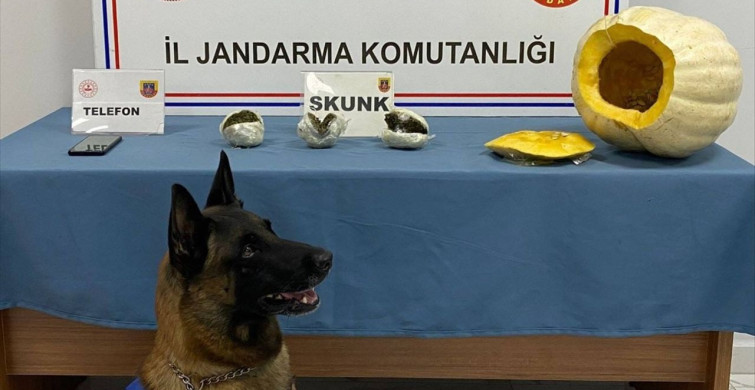 Osmaniye'de Bal Kabaklarında Uyuşturucu Yakalandı