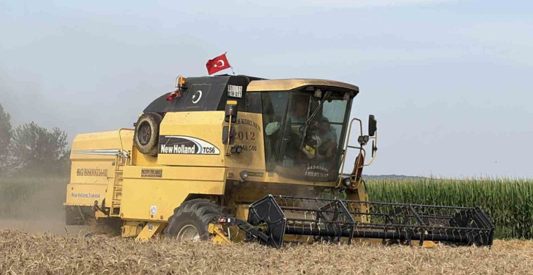 Osmaniye'de Buğday Hasadı Başladı: Yağışlar Maliyetleri Azalttı, Dolu Verimi Etkiledi