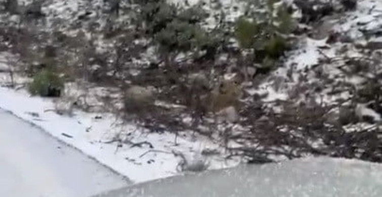 Osmaniye'de Dolu Yağışı Sürücülere Zor Anlar Yaşattı