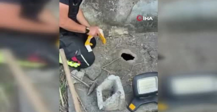 Osmaniye'de düşen yavru kedi itfaiye ekipleri tarafından kurtarıldı