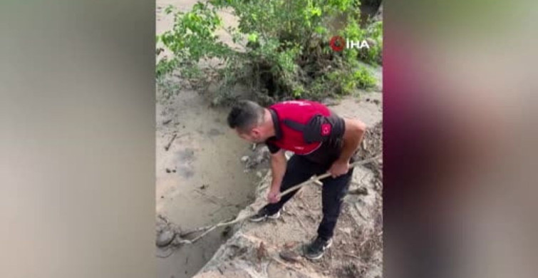 Osmaniye'de Kaplumbağa Kurtarma Operasyonu