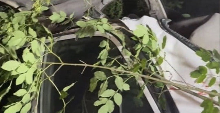 Osmaniye'de otomobil uçuruma yuvarlandı: 3 yaralı