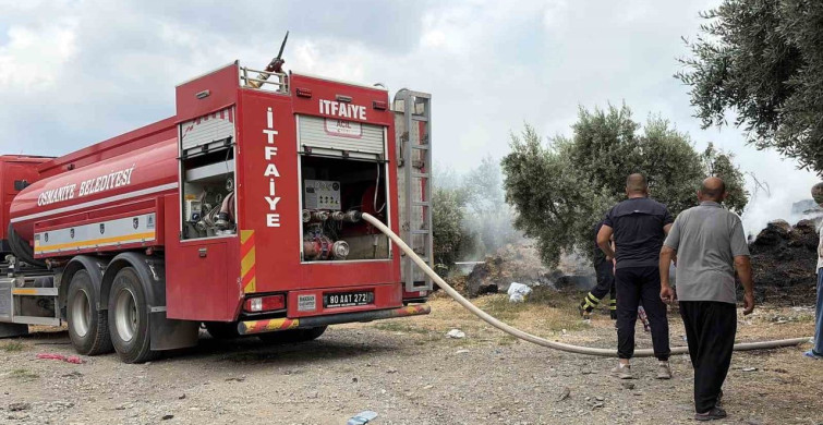 Osmaniye'de saman balyaları yandı, zeytin fidanları zarar gördü