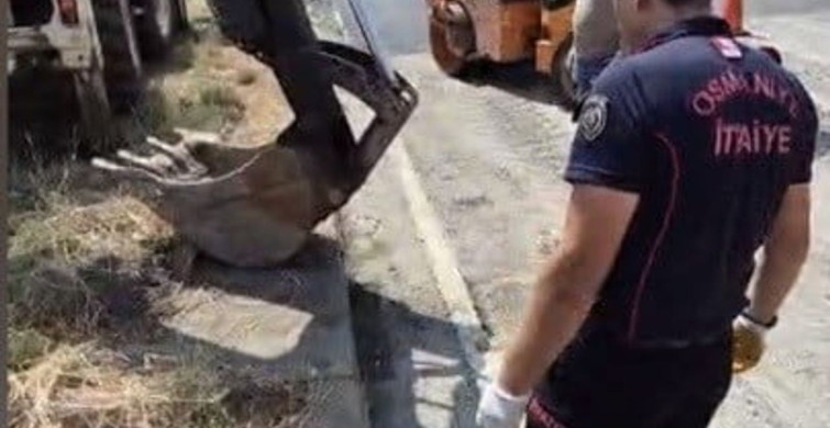 Osmaniye’de yağmur suyu mazgalına düşen yavru kedi kurtarıldı