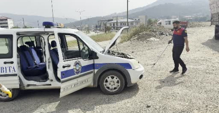 Osmaniye'de yılan, üç araçta dolaştıktan sonra yakalandı