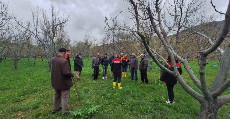Otlukbeli'nde Meyve Ağaçları İçin Budama Eğitimi