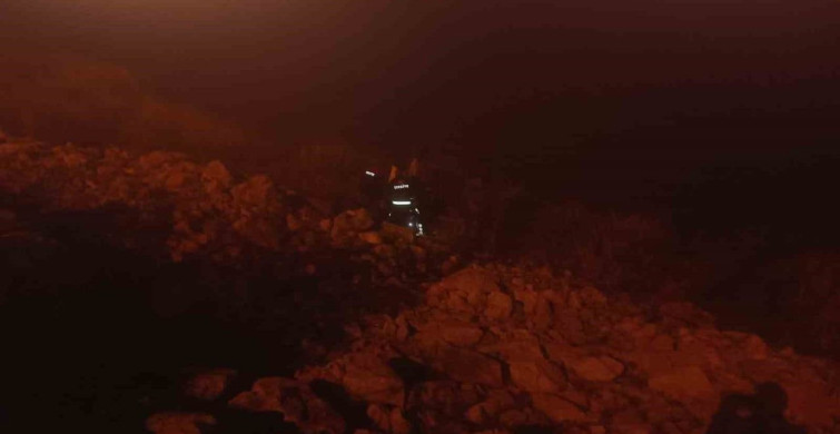 Otomobil Göl Kenarına Uçtu: 1 Yaralı