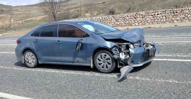 Otomobil Koyun Sürüsüne Çarptı, 9 Koyun Telef Oldu