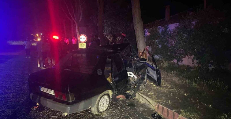 Otomobil sokak köpeğinden kaçarken ağaca çarptı: 1'i ağır 2 yaralı