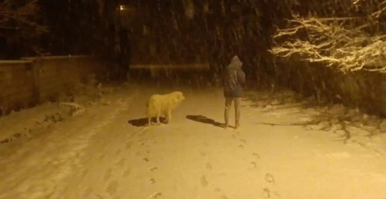 Özalp'ta Nisan Ayında Kar Yağışı Etkili Oldu