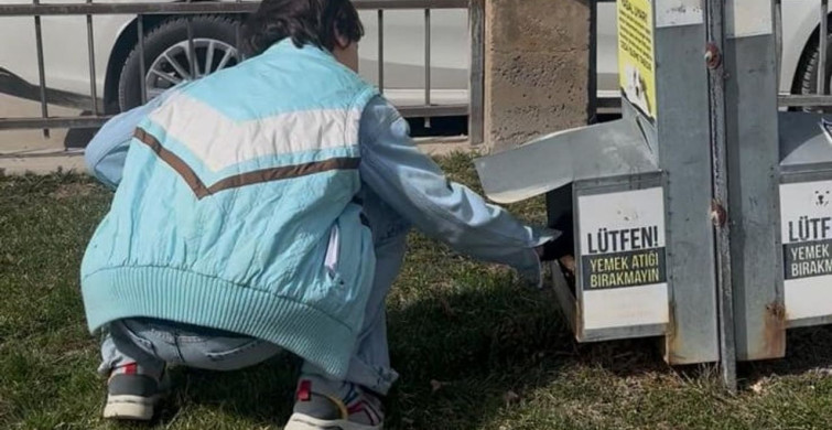 Özel Eğitim Öğrencilerinden Sokak Hayvanlarına Destek