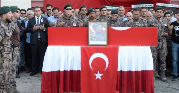 Özel Harekat Şube Müdürü'nü Şehit Eden 3 Terörist Öldürüldü