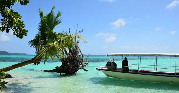 Palau Gezilecek Yerler