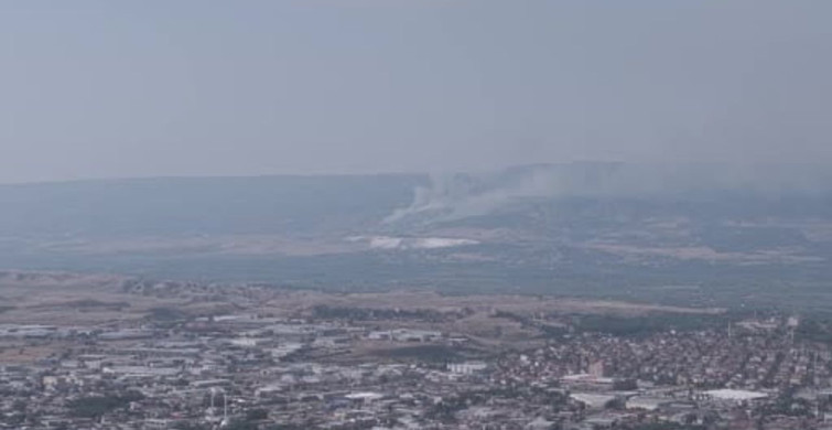 Pamukkale'deki ormanlık alanda yangın