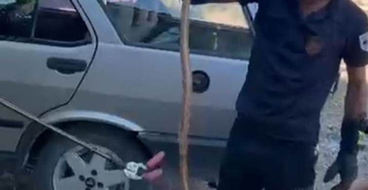 Park halindeki otomobile giren yılan paniğe neden oldu