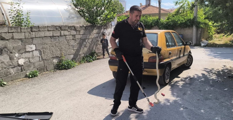 Park halindeki otomobilin altına giren yılan itfaiye ekiplerince kurtarıldı