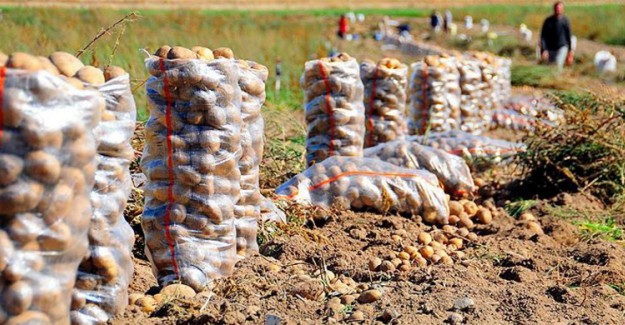Patates ve Kuru Soğan İhracatına Kısıtlama