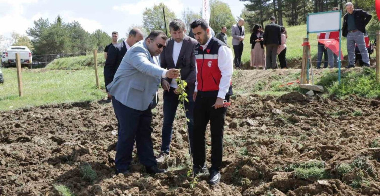 Pazarlar'daki Hazine Arazisi Tarıma Kazandırıldı