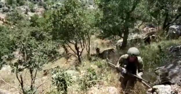 Pençe-Kaplan Operasyonu Arapları Rahatsız Etti