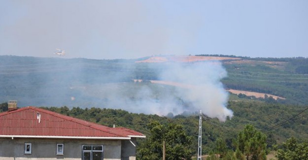 Pendik'te Orman Yangını