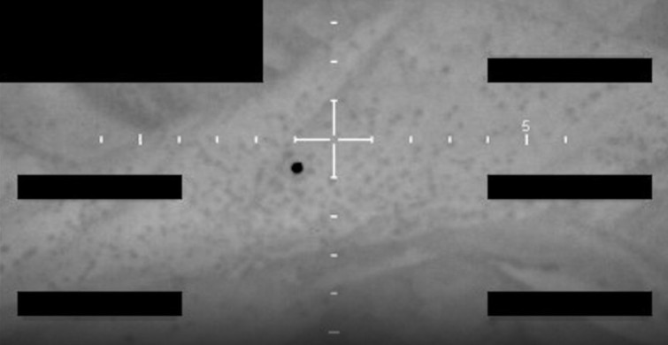 Pentagon UFO dosyalarını yayımladı: Gizli belgeler kamuoyuna açıldı