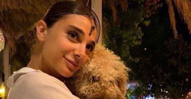 Pınar Gültekin Cinayetinde Ağabey Katilin Yalanını Açıkladı
