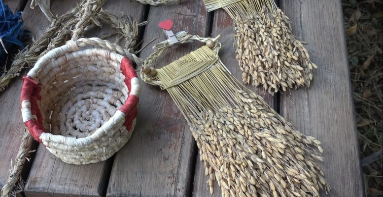Pirinç sapı, tescilli Bafra zembiline can verdi