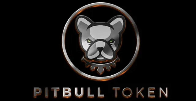 Pitbull coin nedir? Pit coin projesi ve yol haritası