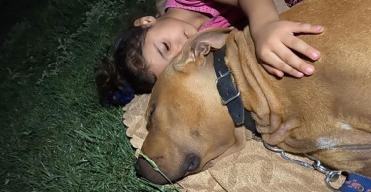 Pitbull Saldırısı Sonucu Ölümden Dönen Minik Asiye'den Sevindirici Haber: Haftaya Taburcu Oluyor!