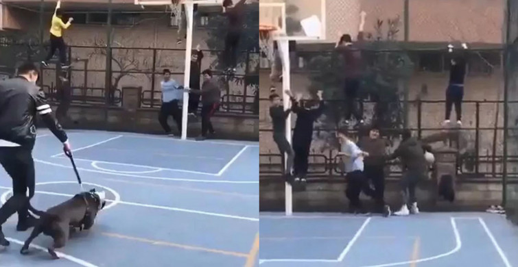 Pitbull'la şaka yapayım derken çocuklara dehşet dolu anlar yaşattı!