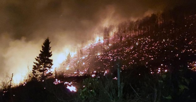 PKK Üstlendi! Karadeniz'de Ormanlara Göz Dikmişler