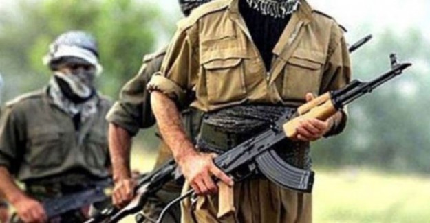 PKK'lı 4 Terörist Teslim Oldu
