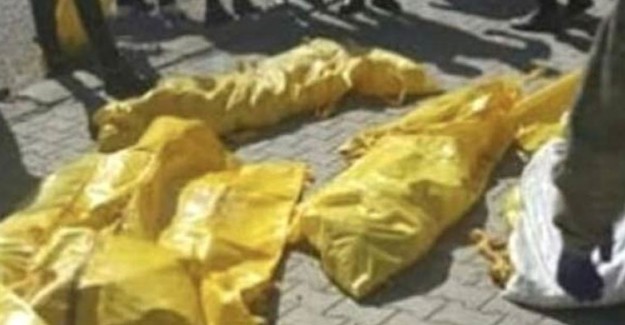 PKK'lı Teröristin Cenazesi Ailesi Tarafından Kabul Edilmedi