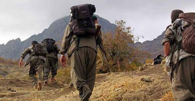 PKK'lı Teröristlerin Sırt Çantalarından Çıktı!