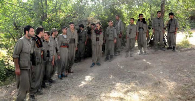 PKK'nın Elinden Kaçan Başkan: Canlı Canlı Gördüm
