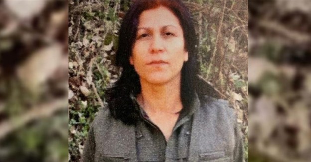 PKK'nın Sözde Üst Düzey Kadın Sorumlusu Etkisiz Hale Getirildi! 