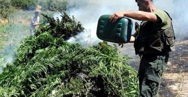 PKK'ya Operasyon! Terör Örgütü Çöküyor!