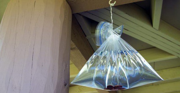 Plastik Poşetlerle Sivrisineklerden Kurtulabilirsiniz