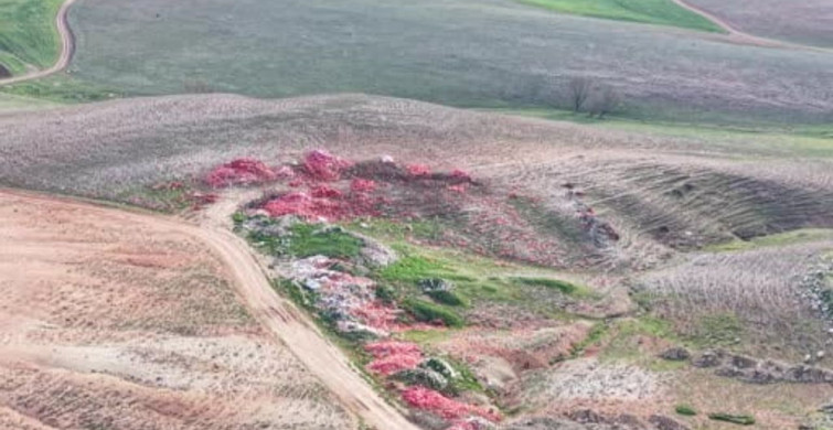 Polatlı'da Dökülen Soğanlar İçin Ticaret Bakanlığı'ndan İnsiyatife