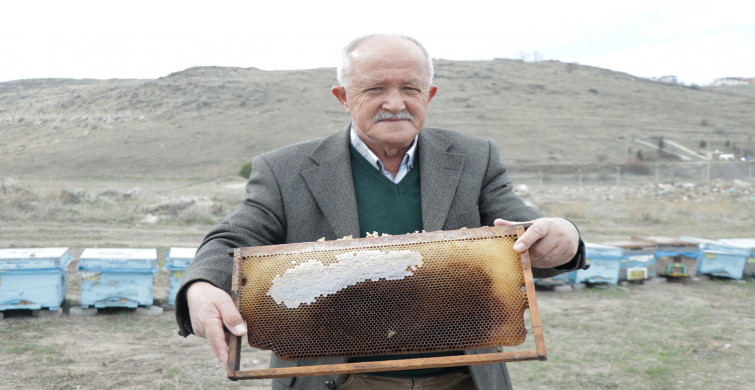 Polen kıtlığı, arıcılarda endişe yaratıyor: Arı ölüm oranı yüzde 90!