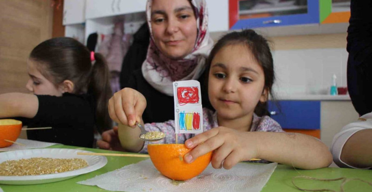 Portakal Kabukları Kuşlar İçin Doğal Yemlik ve Yuva Oluyor