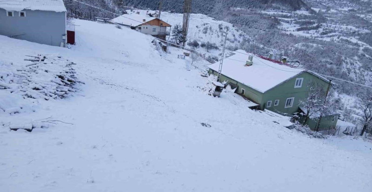 Posof'ta Yoğun Kar Yağışı Hayatı Olumsuz Etkiledi