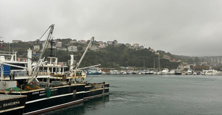 Poyraz Mahallesi: İstanbul'un Saklı Balıkçı Köyü