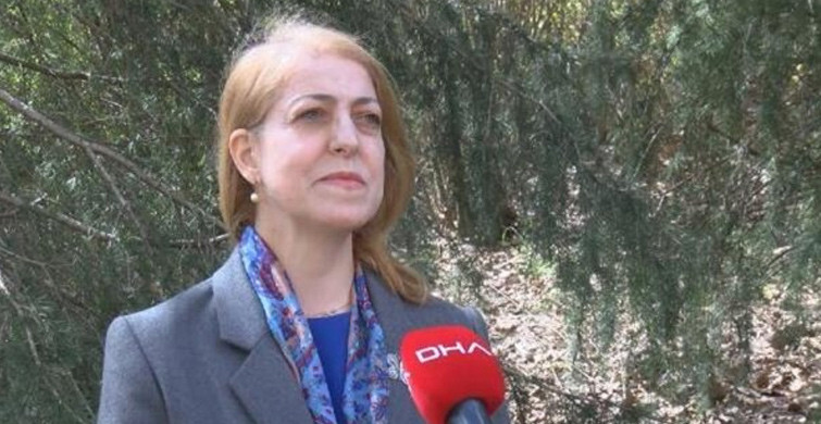 Prof. Dr. Sevinç Asilhan: Bütün Özellikleri Değişecek