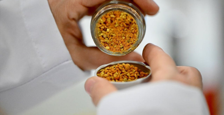 Propolisin Çocukların Büyüme ve Gelişimine Etkisi Araştırıldı