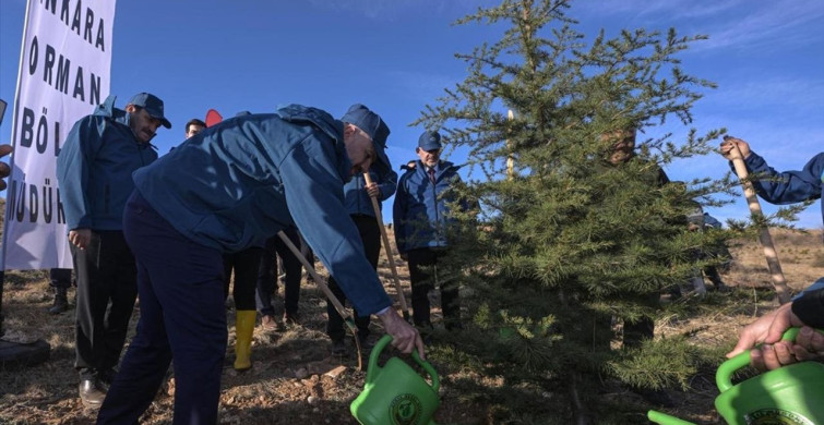 PTT AŞ 185. Yılında Ağaçlandırma Etkinliği Düzenledi