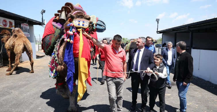 Pursaklar Belediyesi'nden Kurban Bayramı Öncesi Kesim Provası